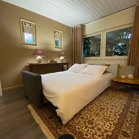 Studio & Appartement Au Lac Bed & Breakfast 3*