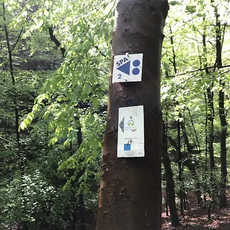 & Au Nocleg ze śniadaniem Sart-lez-Spa