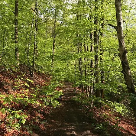 Bed & Breakfast & Au