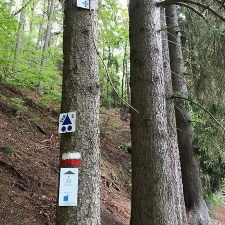 & Au Nocleg ze śniadaniem 4*