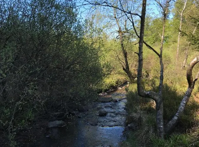 Studio & Appartement Au Lac 4*